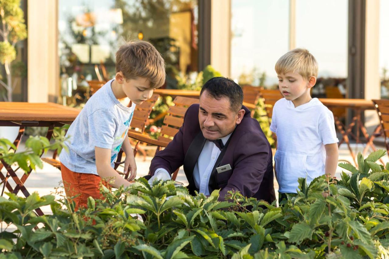 Ariana Sustainable Luxury Lodge - Special Category - Cappadocia Uchisar Εξωτερικό φωτογραφία